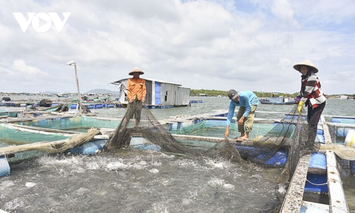 Vietnam aims for sustainable and responsible fishery by 2050